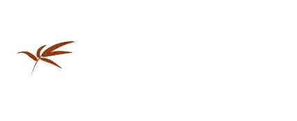 地元栃木の日本酒