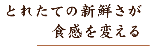 採れたて新鮮さが食感を変える