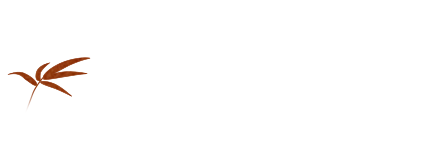 厳選刺身盛り合わせ