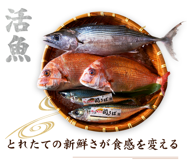 採れたて新鮮さが食感を変える