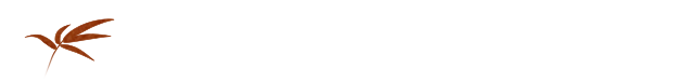 豪快刺身盛り合わせ